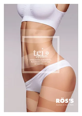 logo tey system